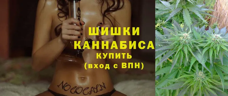 Бошки марихуана THC 21%  мега рабочий сайт  Петропавловск-Камчатский 